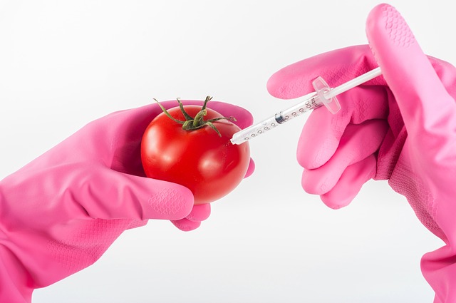 De acuerdo a Putin: occidentales estarían siendo controlados por alimentos genéticamente modificados