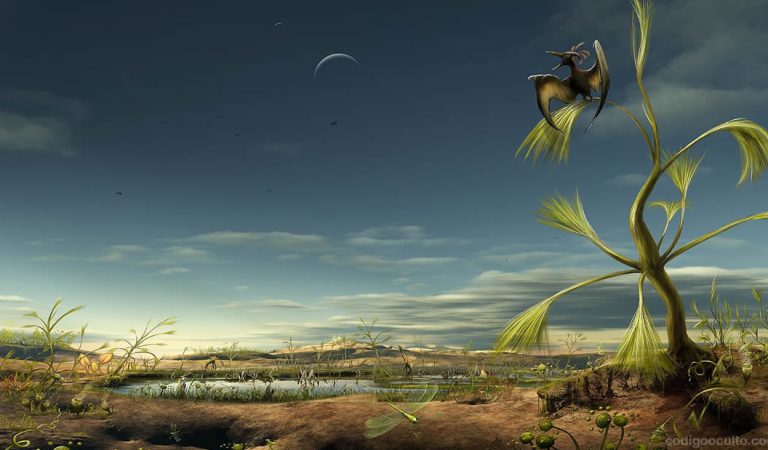 Planetas como la Tierra son comunes en el cosmos, indica nuevo estudio Planetas como la Tierra son comunes en el cosmos, indica nuevo estudio