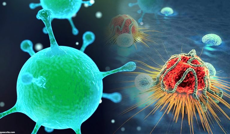 Científicos crean un virus que mata cada tipo de cáncer Científicos crean un virus que mata cada tipo de cáncer