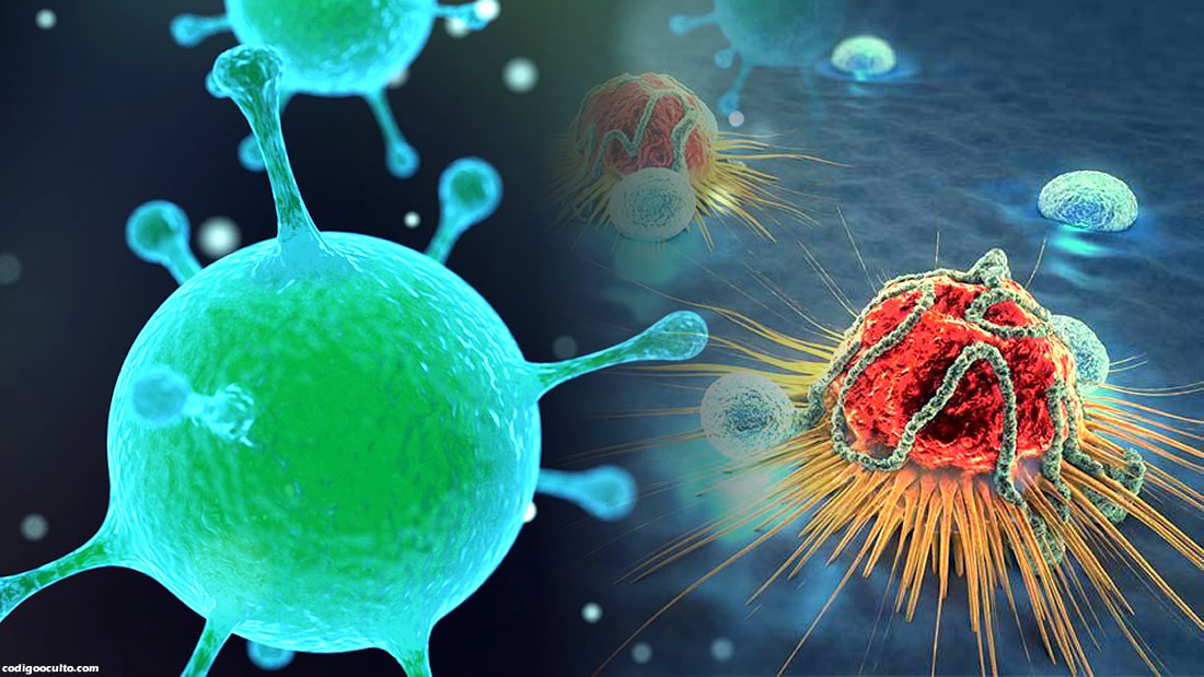Científicos crean un virus que mata cada tipo de cáncer