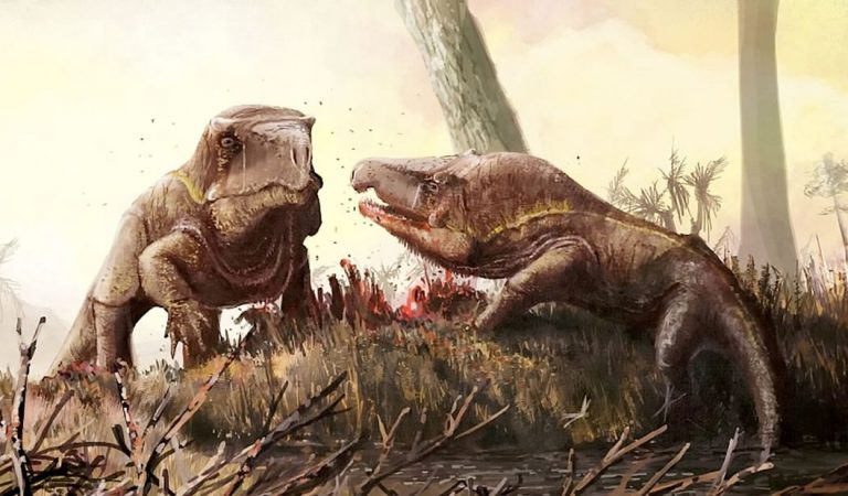 Criaturas similares a Dragones de Komodo con cabezas gigantescas deambularon por la Tierra Criaturas similares a Dragones de Komodo con cabezas gigantescas deambularon por la Tierra