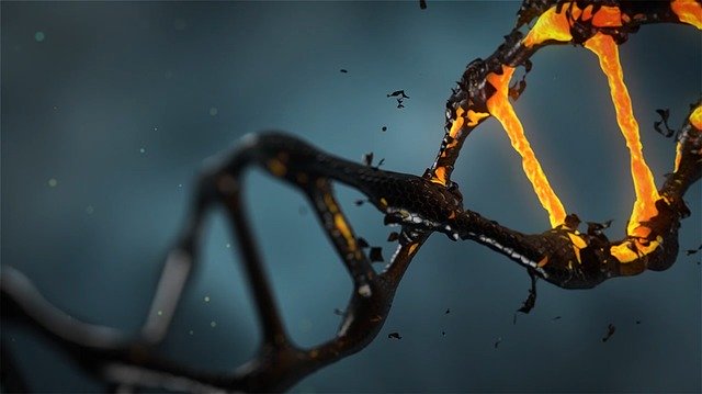 El ADN es solo uno entre millones de posibles moléculas genéticas