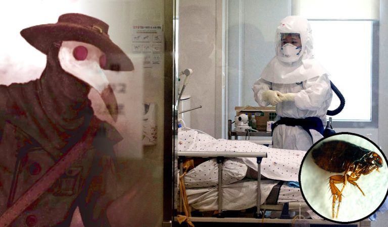 Dos personas son diagnosticadas con «Peste Negra» en China Dos personas son diagnosticadas con «Peste Negra» en China