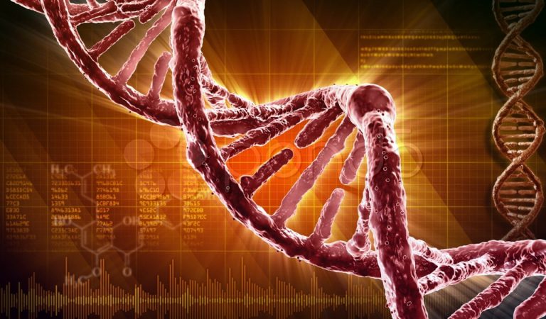El ADN no sería único: pueden existir millones de posibles moléculas genéticas El ADN no sería único: pueden existir millones de posibles moléculas genéticas