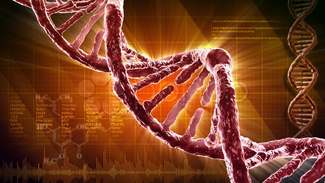 El ADN no sería único: pueden existir millones de posibles moléculas genéticas