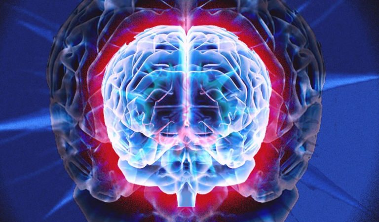 El cerebro se reconecta a sí mismo si se elimina la mitad, descubre investigación El cerebro se reconecta a sí mismo si se elimina la mitad, descubre investigación
