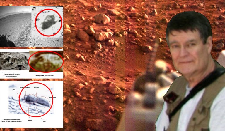 Fotografías muestran evidencia contundente de vida en Marte, dice entomólogo de la Universidad de Ohio Fotografías muestran evidencia contundente de vida en Marte, dice entomólogo de la Universidad de Ohio