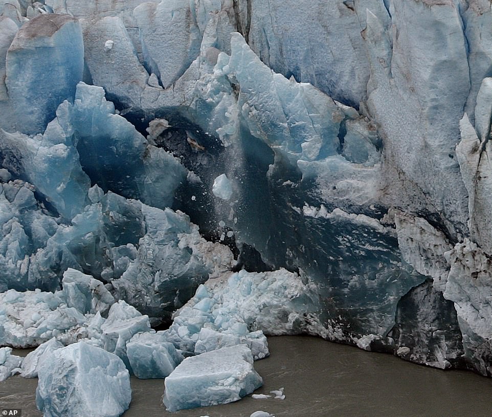 Taku es considerado el glaciar más grueso del mundo con 1.481 metros de arriba a abajo y también es el más grande en el campo de hielo de Juneau
