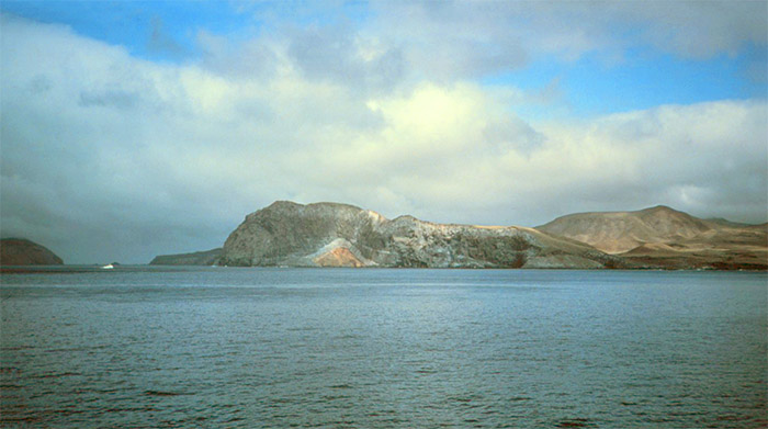 Isla Guadalupe