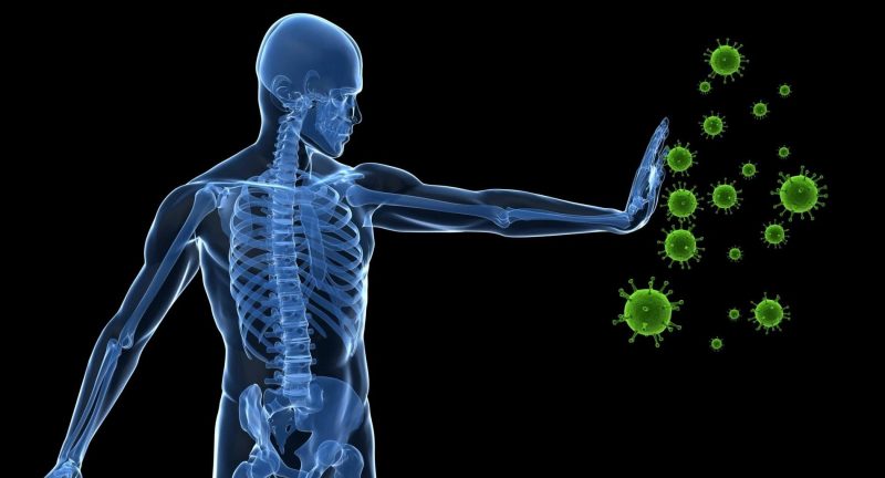 El sarampión elimina la memoria del sistema inmunitario, dejándote nuevamente expuesto, afirma estudio