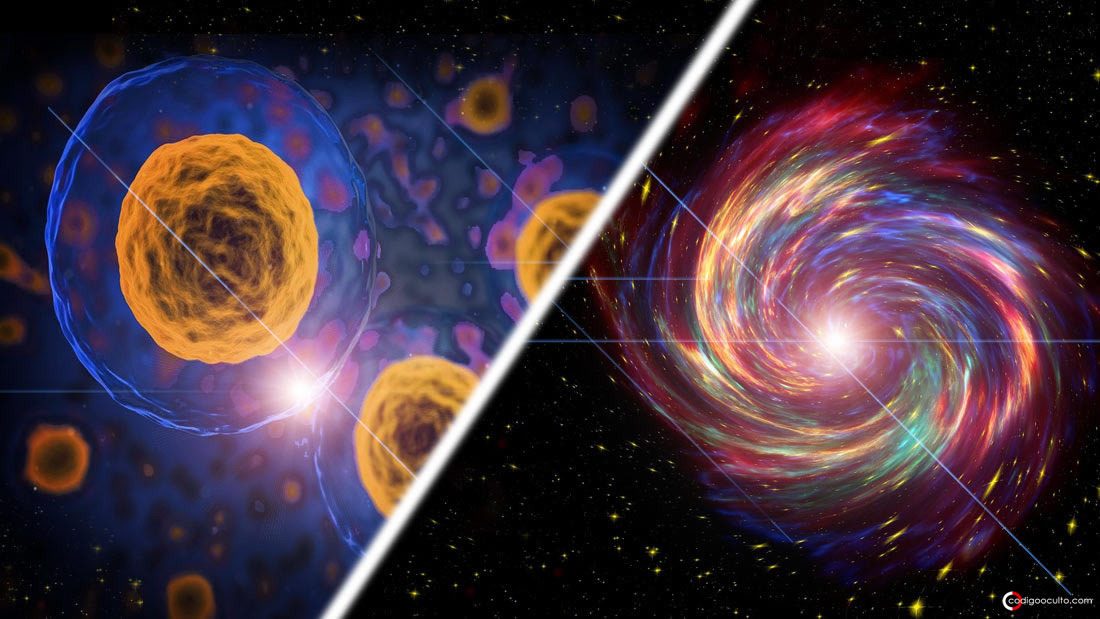 Al morir las células del cuerpo emiten luz ¡como las supernovas!