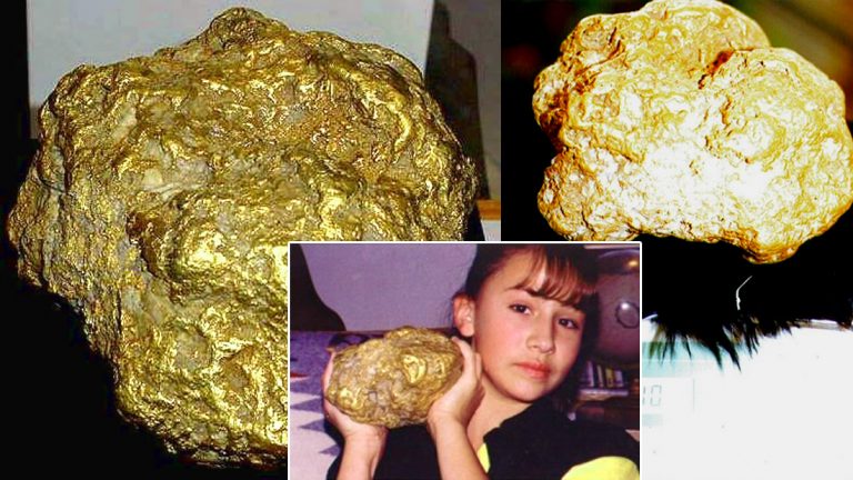 Pepita D Oro Più Grande Del Mondo