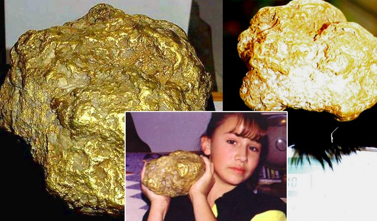 La pepita de oro más grande jamás hallada en Alaska La pepita de oro más grande jamás hallada en Alaska