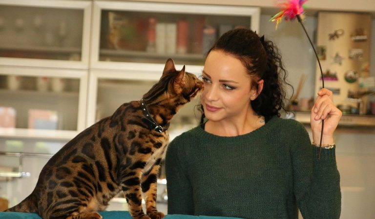 Los gatos ven a sus humanos como sus «padres» y también los extrañan cuando los dejan solos Los gatos ven a sus humanos como sus «padres» y también los extrañan cuando los dejan solos