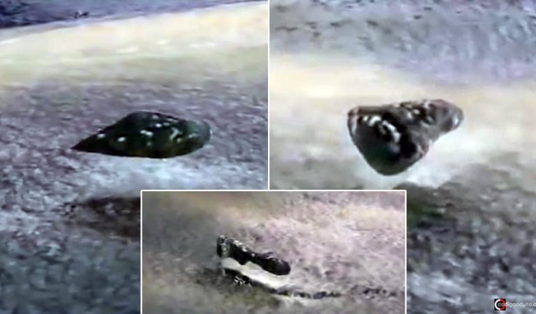 Imágenes de radar muestran tres objetos voladores anómalos sobre río en Florida Imágenes de radar muestran tres objetos voladores anómalos sobre río en Florida