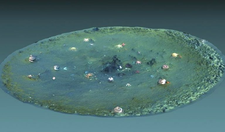 Misteriosos agujeros en el fondo del océano en la costa de California desconciertan a científicos Misteriosos agujeros en el fondo del océano en la costa de California desconciertan a científicos