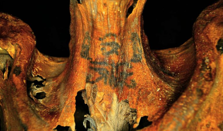 Revelan tatuajes ocultos en momias egipcias de 3.000 años Revelan tatuajes ocultos en momias egipcias de 3.000 años