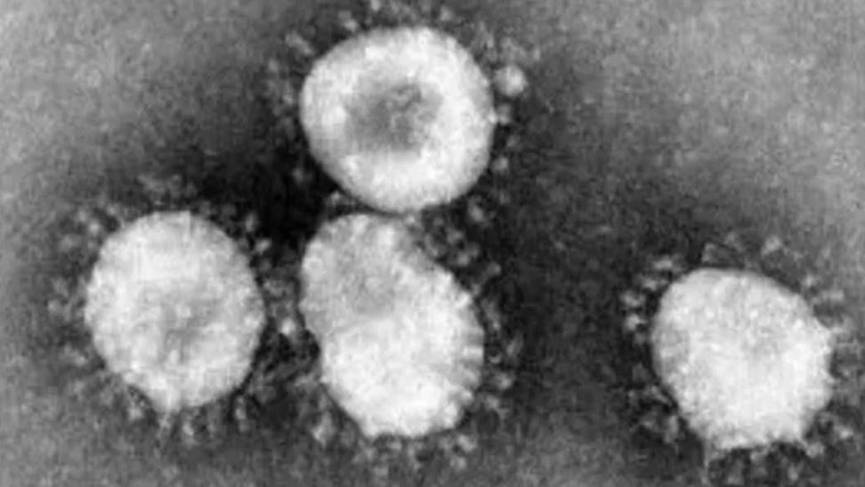 ¿Cómo prevenir el coronavirus?