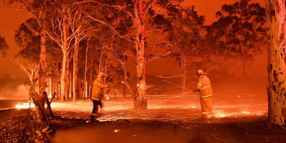 Casi 3 mil millones de animales fueron afectados por incendios forestales en Australia, revela investigación