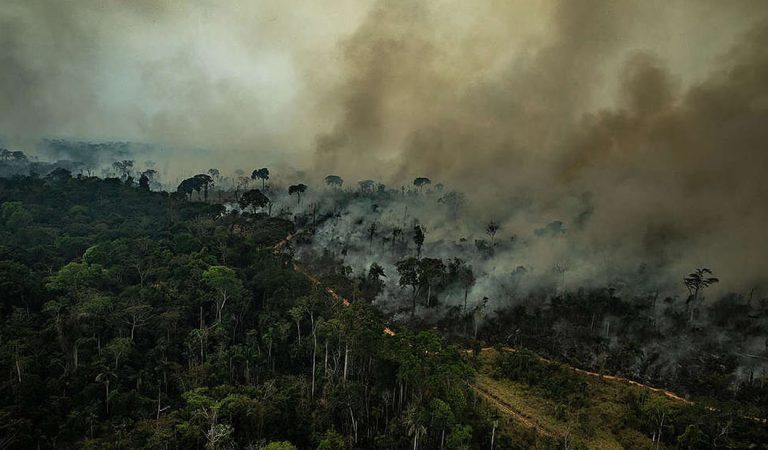 Posible aumento repentino de incendios en Amazonía enciende las alarmas Posible aumento repentino de incendios en Amazonía enciende las alarmas