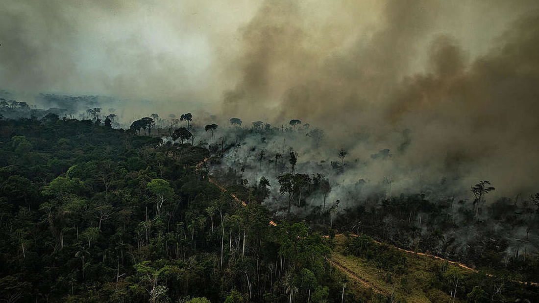 Posible aumento repentino de incendios en Amazonía enciende las alarmas
