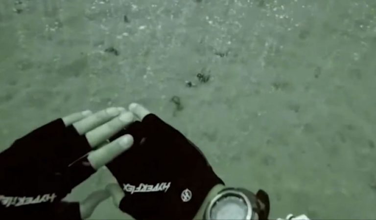 Buzos descubren un manantial «mágico» burbujeante bajo el océano (Vídeo) Buzos descubren un manantial «mágico» burbujeante bajo el océano (Vídeo)
