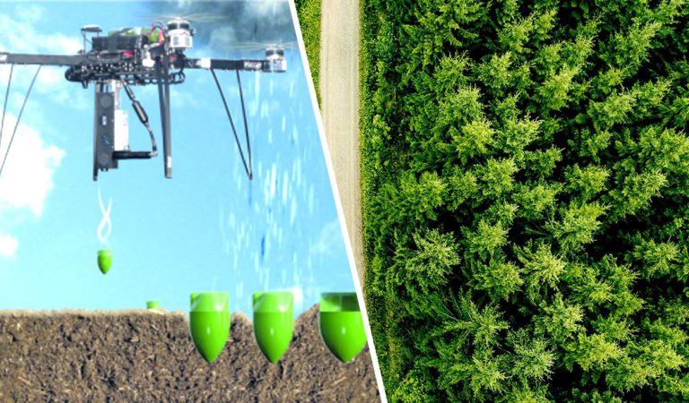 Científicos plantarán mil millones de árboles usando drones e ingredientes «secretos» Científicos plantarán mil millones de árboles usando drones e ingredientes «secretos»