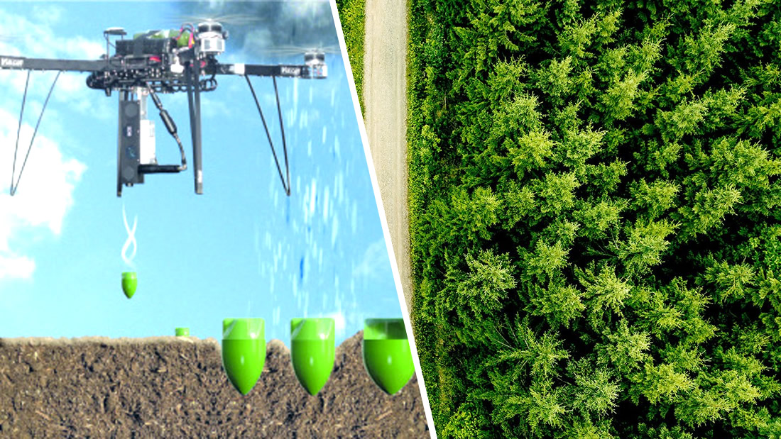 Científicos plantarán mil millones de árboles usando drones e ingredientes «secretos»