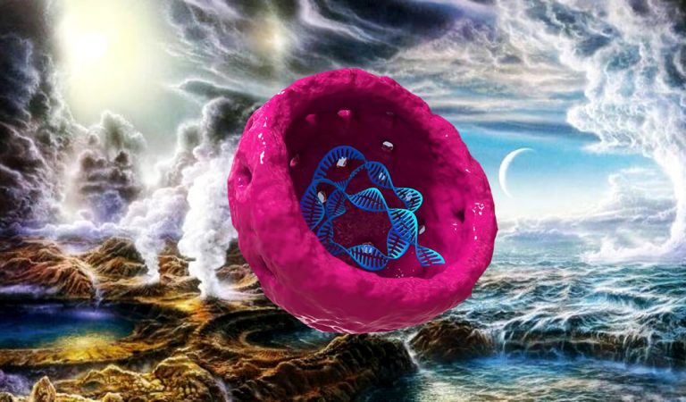 Cultivan en laboratorio a organismo que revelaría el origen de la vida Cultivan en laboratorio a organismo que revelaría el origen de la vida