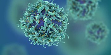 Descubren células T que matan varios tipos de cáncer en laboratorio