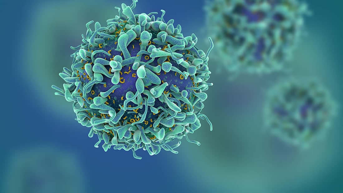 Descubren células T que matan varios tipos de cáncer en laboratorio