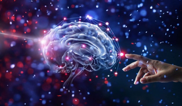 Científicos descubren un nuevo tipo de señal en el cerebro humano Científicos descubren un nuevo tipo de señal en el cerebro humano