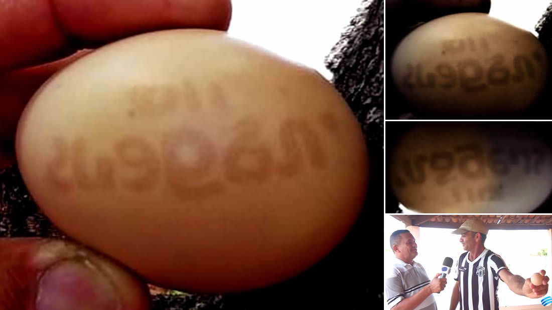 Huevo con extraño «mensaje» es encontrado en Brasil