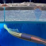 Humanidad podría estar a punto de recibir confirmación de vida alienígena «inminente e inevitable»