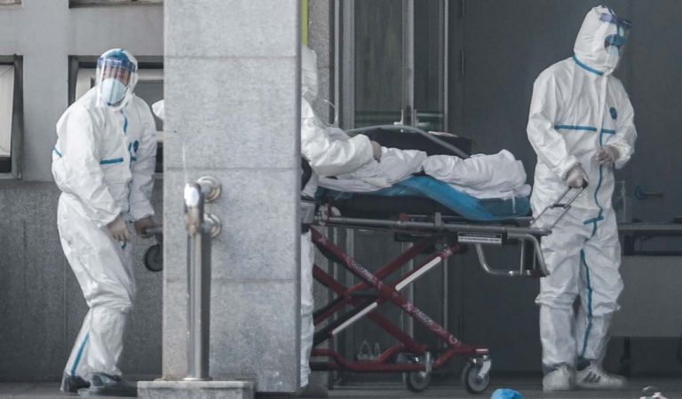 Nuevo virus aparece en Brasil: «arenavirus» causa una muerte por fiebre hemorrágica Nuevo virus aparece en Brasil: «arenavirus» causa una muerte por fiebre hemorrágica