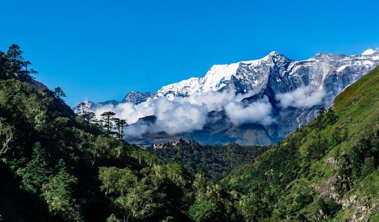 Plantas están creciendo más arriba en Monte Everest e Himalaya que en el pasado Plantas están creciendo más arriba en Monte Everest e Himalaya que en el pasado