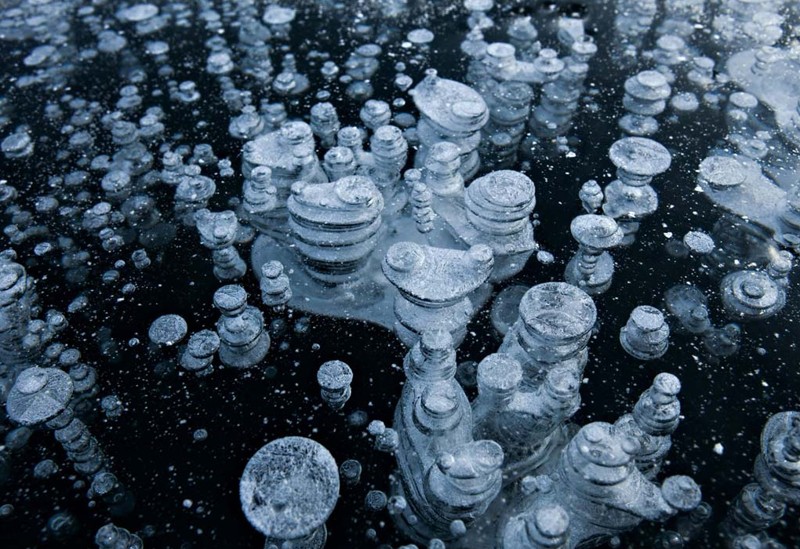 Hallan nueva forma de vida en burbujas de petróleo y en condiciones extremas