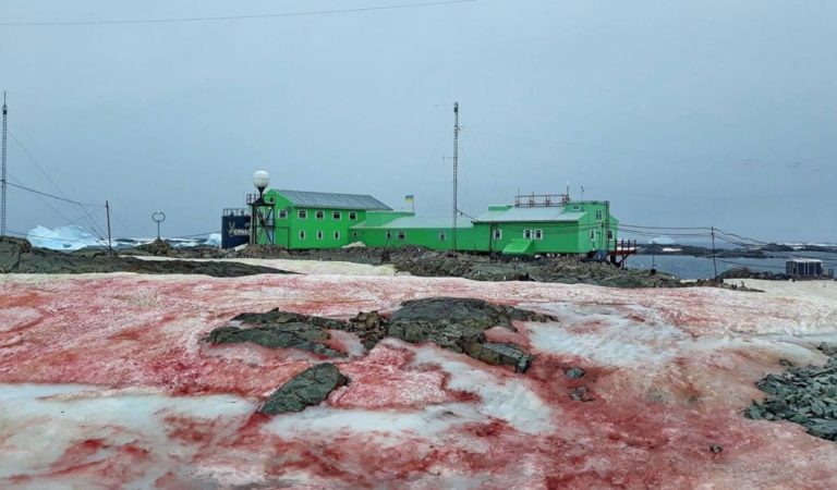 Cae «nieve roja» sobre la Antártida sorprendiendo a científicos Cae «nieve roja» sobre la Antártida sorprendiendo a científicos