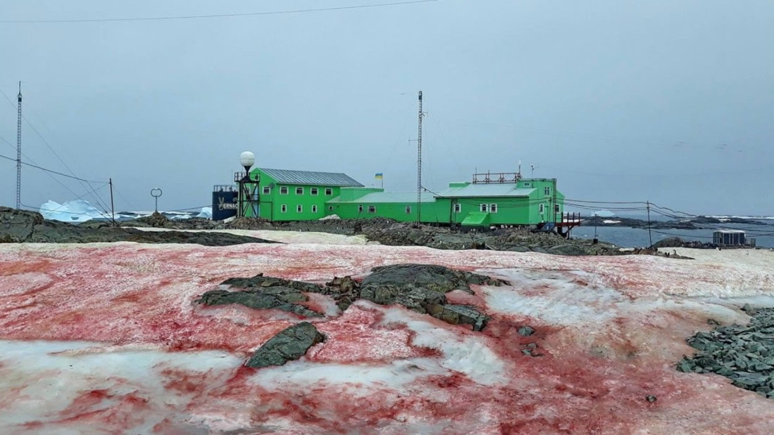 Cae «nieve roja» sobre la Antártida sorprendiendo a científicos