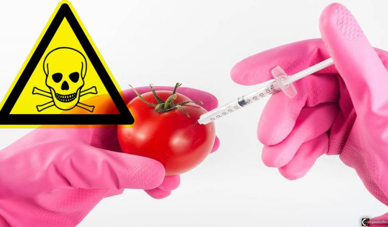 Conspiración de los alimentos transgénicos y sus posibles causas Conspiración de los alimentos transgénicos y sus posibles causas