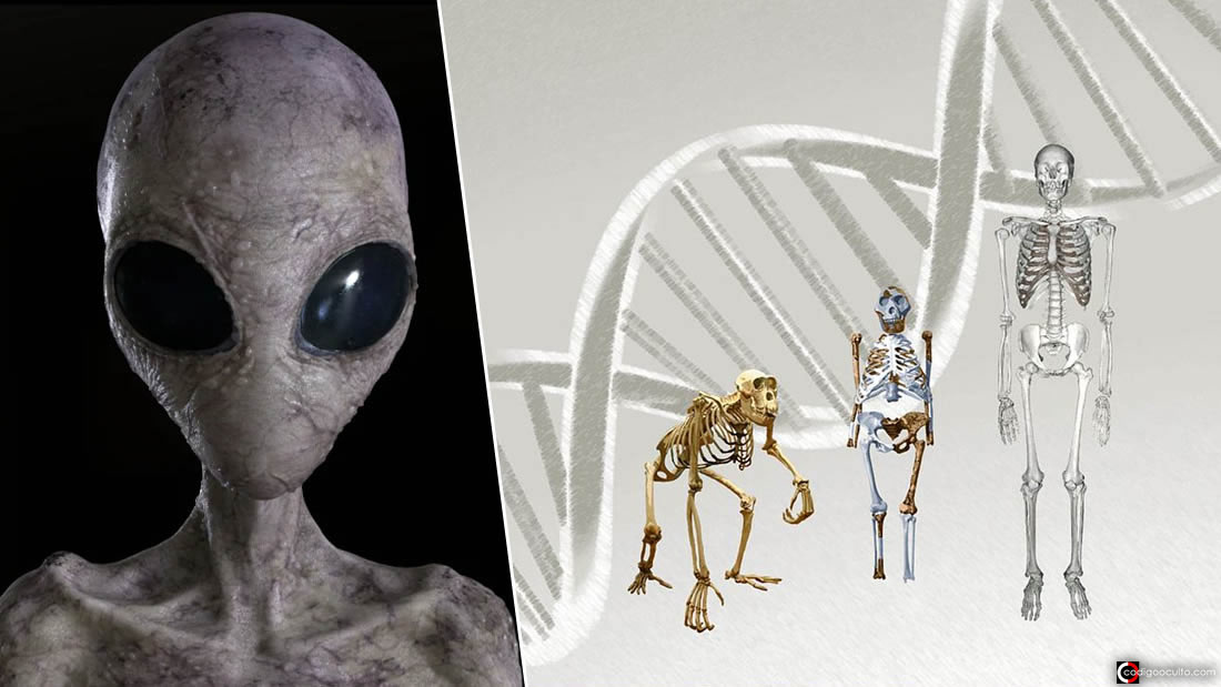 ¿Evolución o intervención alienígena? Sobre el repentino desarrollo del primer ser humano