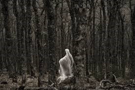 Los Bosques más tenebrosos del mundo - Actividad Paranormal al extremo