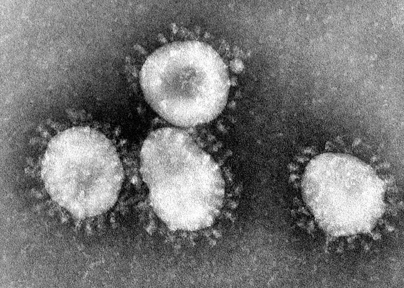 Identifican una segunda cepa de coronavirus que es «más agresiva»