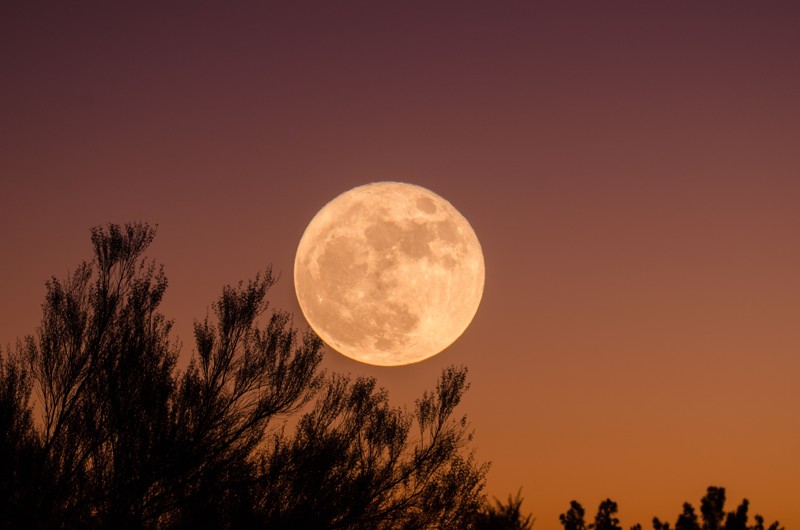Superluna iluminará el cielo este lunes por segunda vez en el año