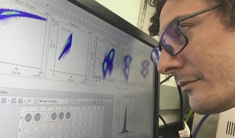 Científico dice que su equipo ha descubierto una posible cura para el coronavirus y de bajo costo Científico dice que su equipo ha descubierto una posible cura para el coronavirus y de bajo costo