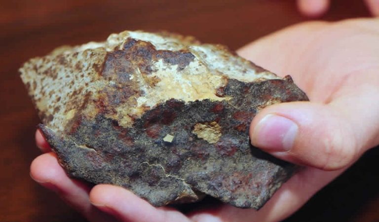 Científicos descubren proteínas en un meteorito y «no provienen de la Tierra» Científicos descubren proteínas en un meteorito y «no provienen de la Tierra»