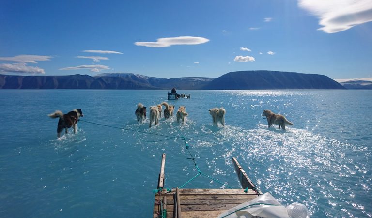 Groenlandia perdió 600 mil millones de toneladas de hielo durante el verano pasado Groenlandia perdió 600 mil millones de toneladas de hielo durante el verano pasado