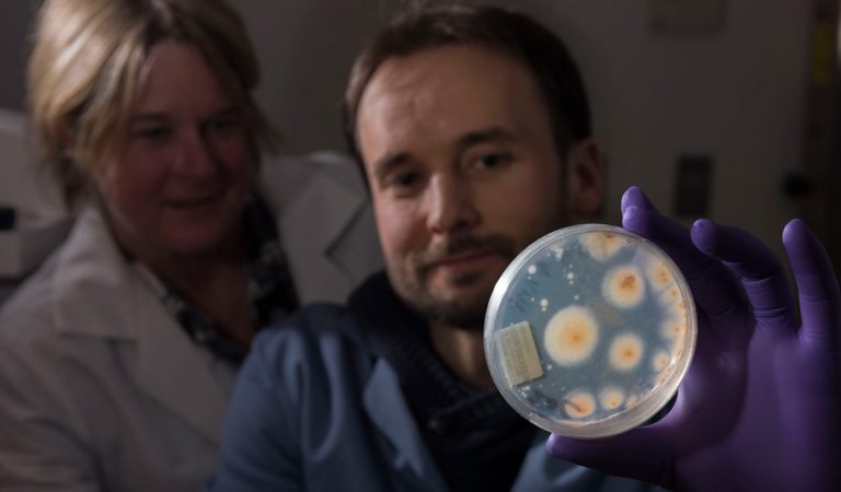 Hallan vida microbiana en las profundidades de la Tierra debajo del fondo del océano Hallan vida microbiana en las profundidades de la Tierra debajo del fondo del océano