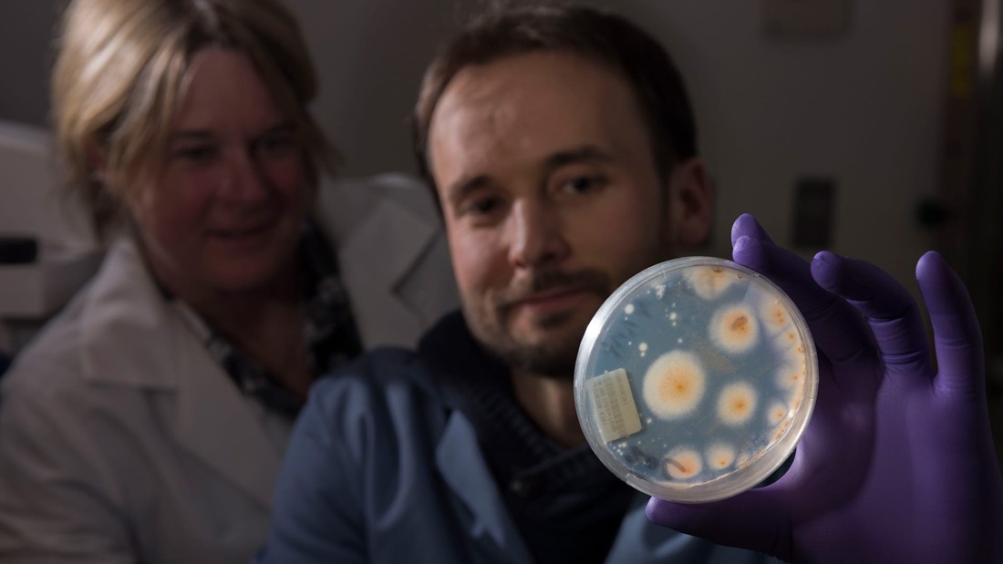 Hallan vida microbiana en las profundidades de la Tierra debajo del fondo del océano