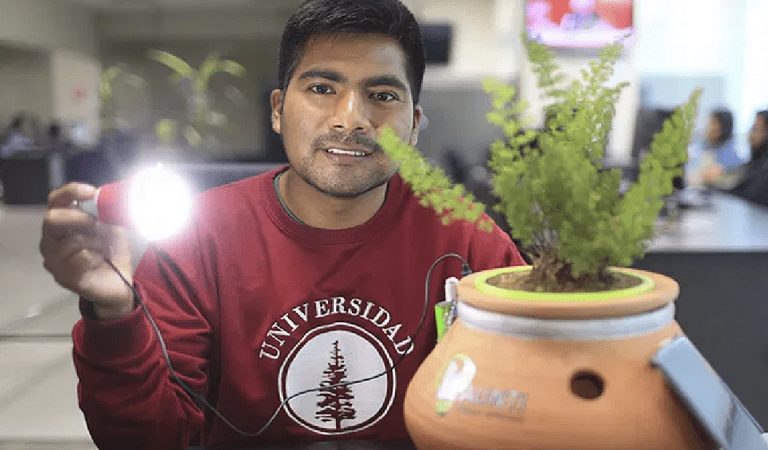 Joven inventor crea «Alinti», maceta que genera energía eléctrica a partir de las plantas Joven inventor crea «Alinti», maceta que genera energía eléctrica a partir de las plantas